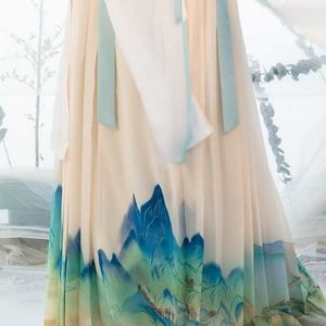 SOLD - Song dynasty 2 piece set: skirt and long cardigan